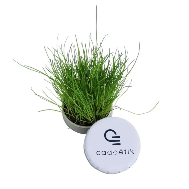 cadoetik20261022083648242933