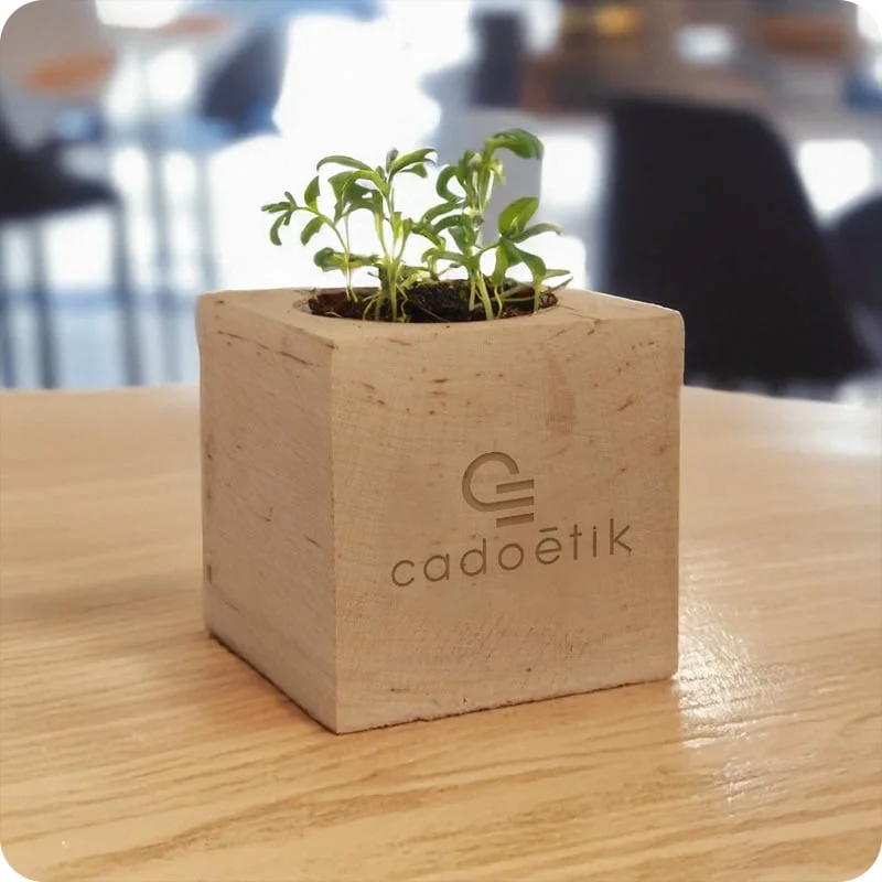 cadoetik20261022083952243712