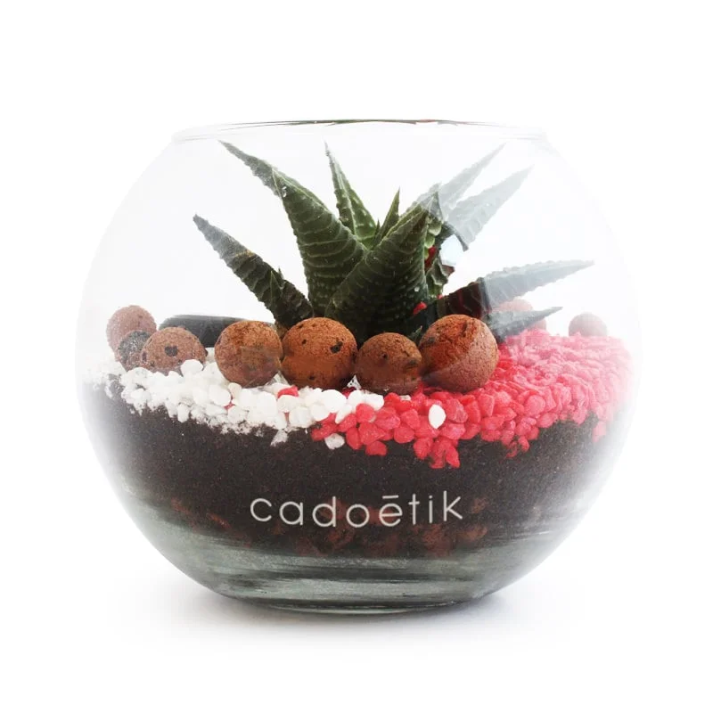 cadoetik20261022143757316439