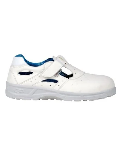 gedshop20261022115320281923