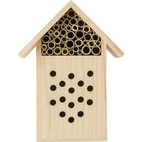 ruedesgoodies-120261022123643292020