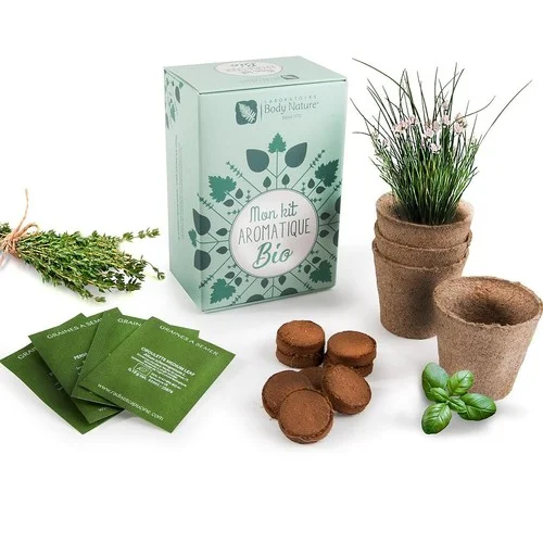 ruedesgoodies-120261023025239472378