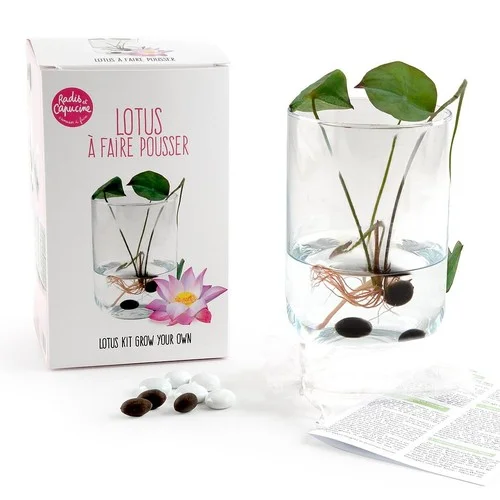 ruedesgoodies-120261023025645473237