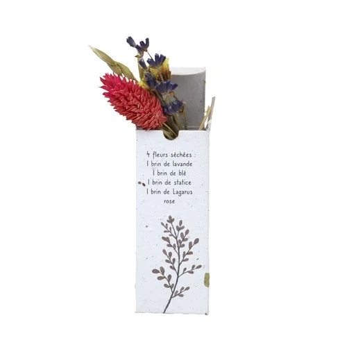 ruedesgoodies-120261023075825533721