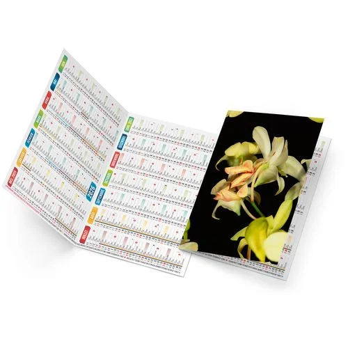 ruedesgoodies-220261022201959389482