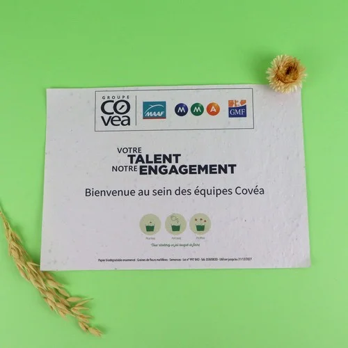 tacommunication20261022161658337988